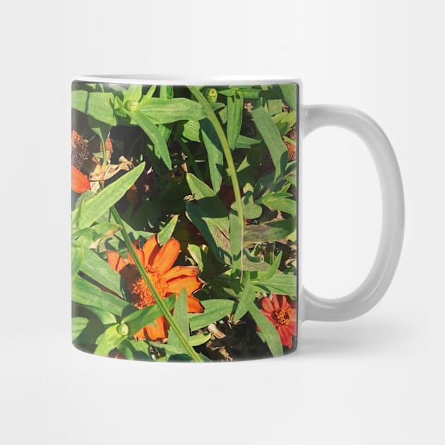 Pretty Red Orange and yellow Flowers with green leaves nature lovers beautiful photography design by BoogieCreates
